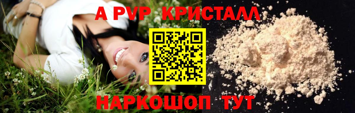 A PVP СК Знаменск