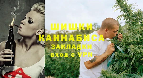 МДПВ Заводоуковск